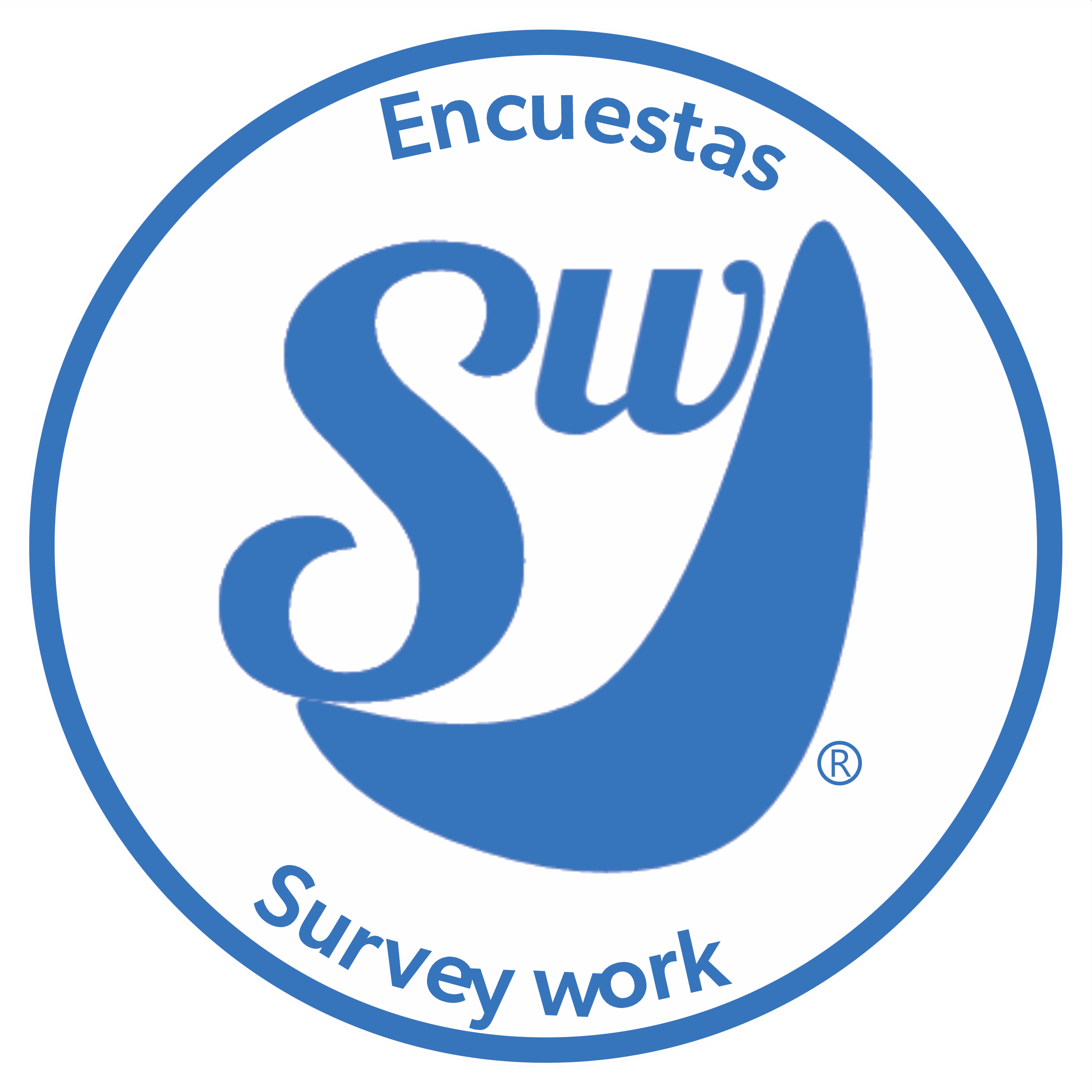 Encuestas-Survey-Work